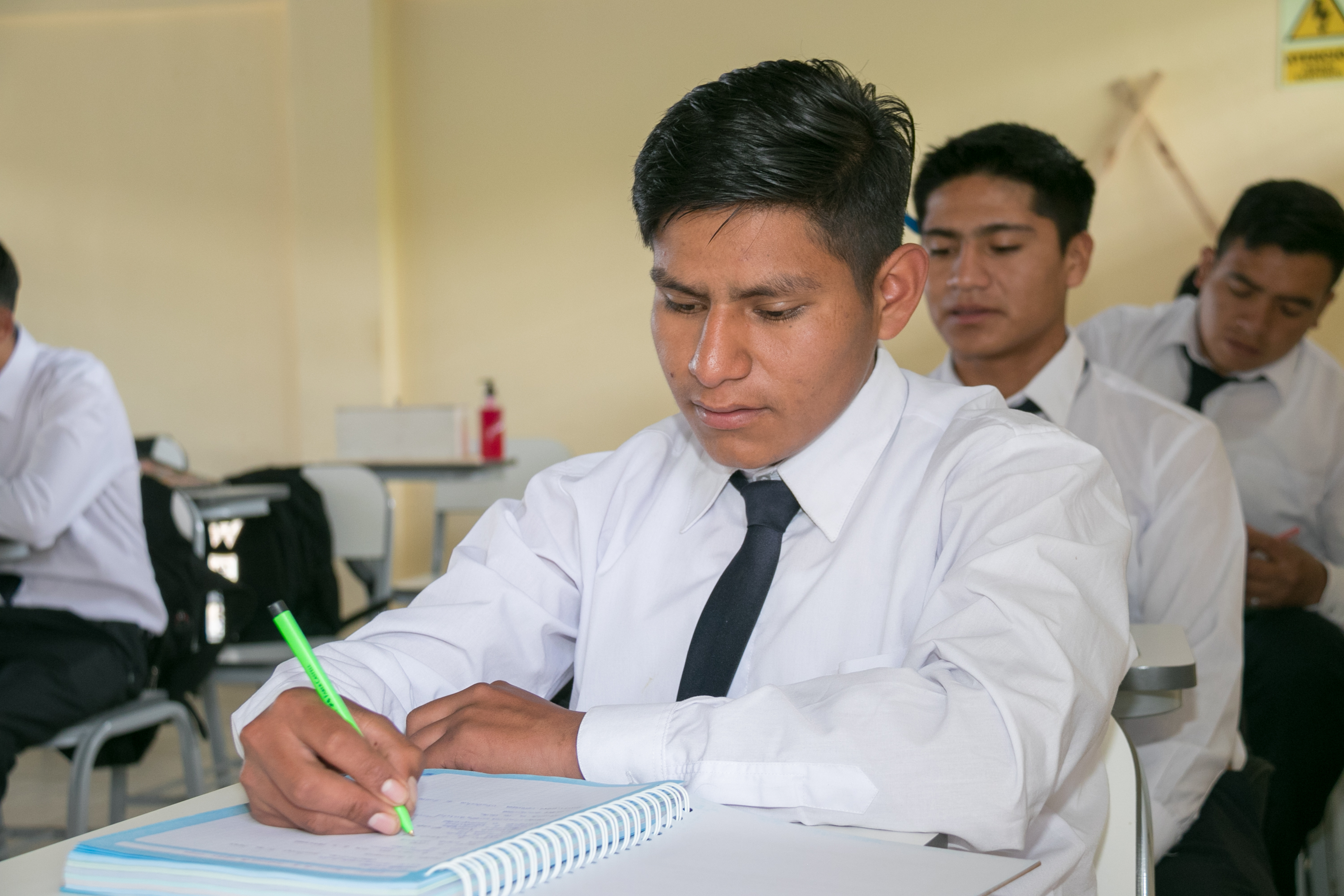 Producción Agropecuaria - Imagen 4