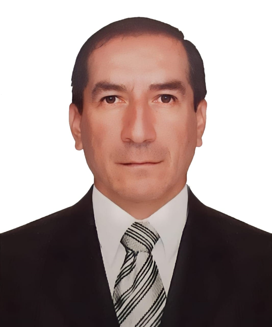 Ing. Luis Felipe García Melendres