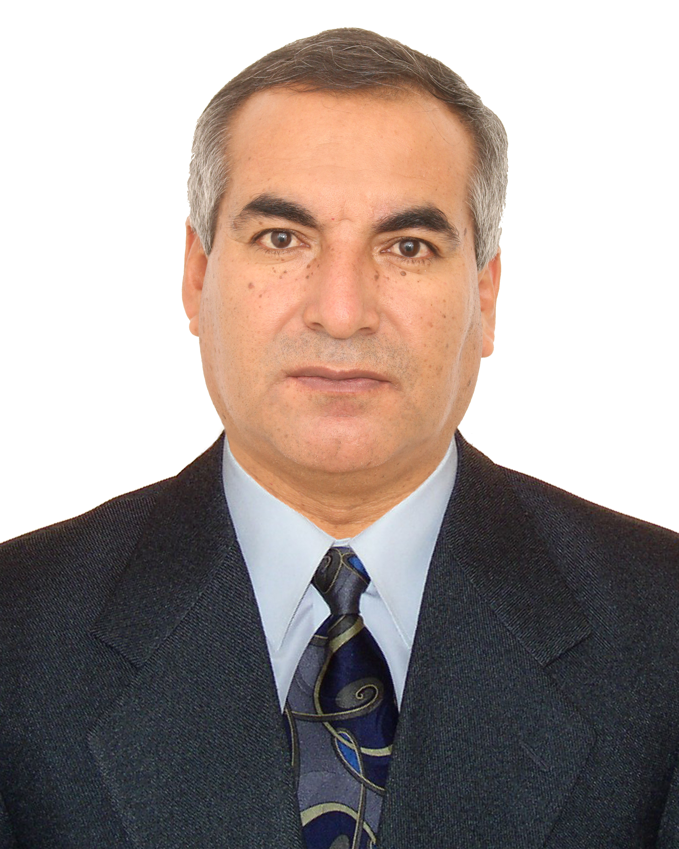 Ing. Napoleón Bernal Díaz