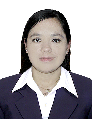 Ing. Jesús María Campos García